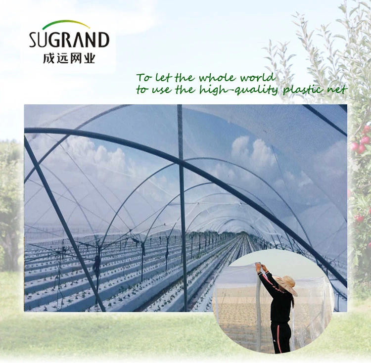 100% HDPE Raw Material Agricultural Greenhouse Insect Net